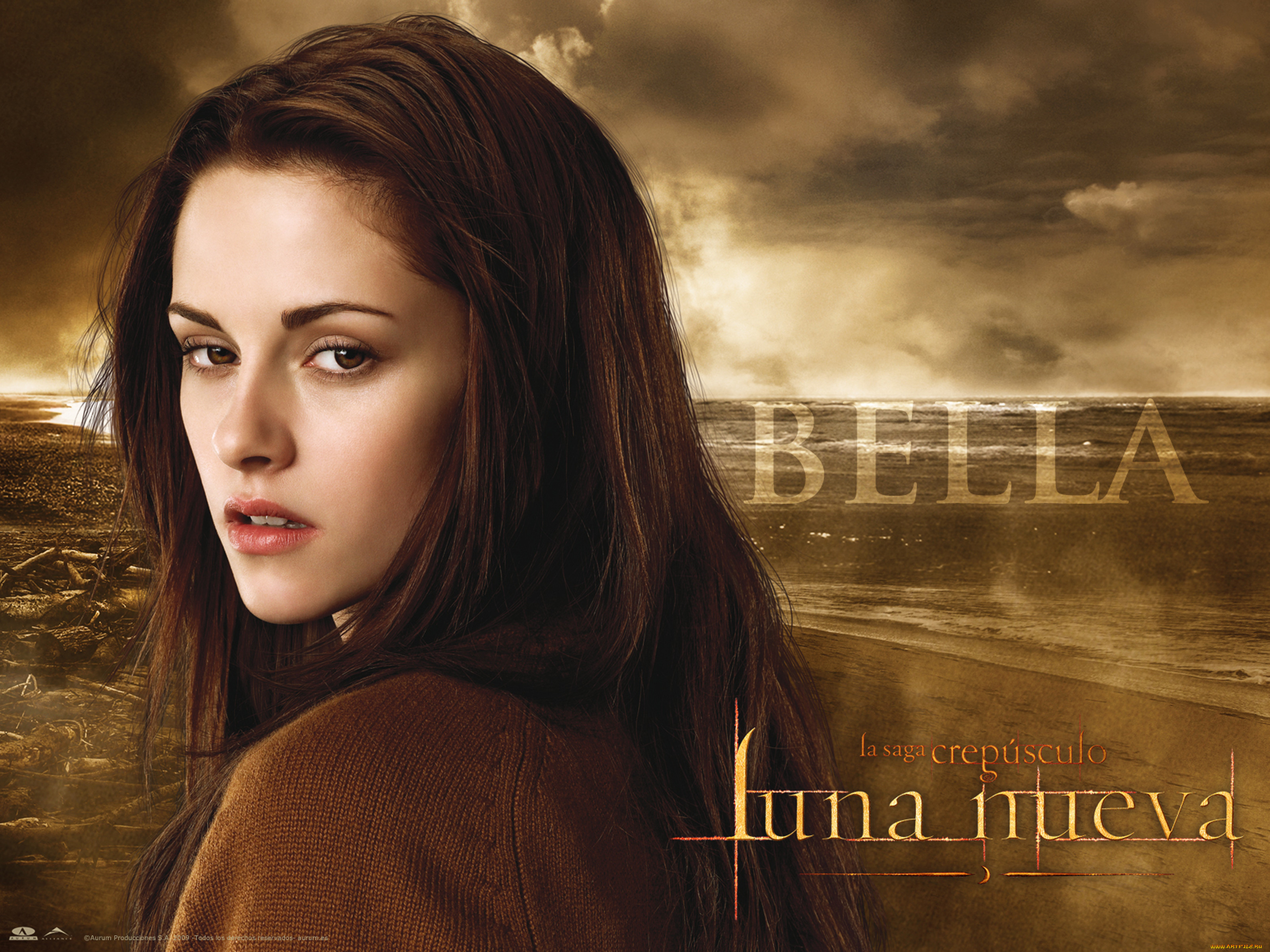  , the twilight saga,  new moon, , 